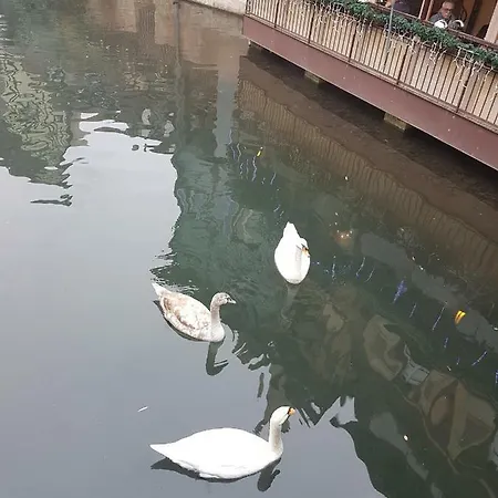 Les Colombages Daire