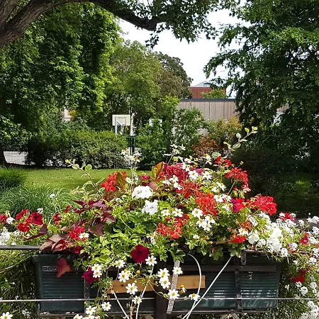 Daire Les Colombages