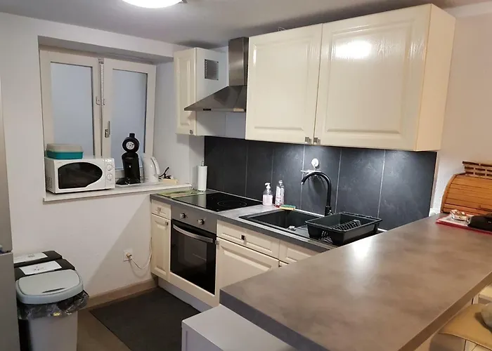 公寓 Les Colombages 科尔马